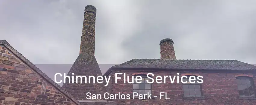  Chimney Flue Services San Carlos Park - FL