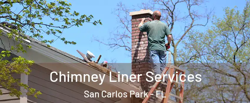  Chimney Liner Services San Carlos Park - FL
