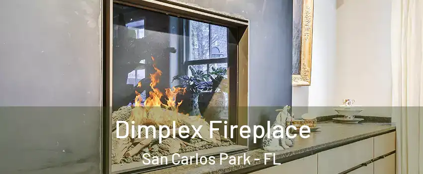  Dimplex Fireplace San Carlos Park - FL