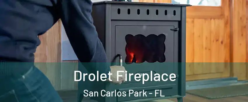  Drolet Fireplace San Carlos Park - FL