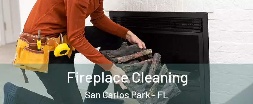  Fireplace Cleaning San Carlos Park - FL