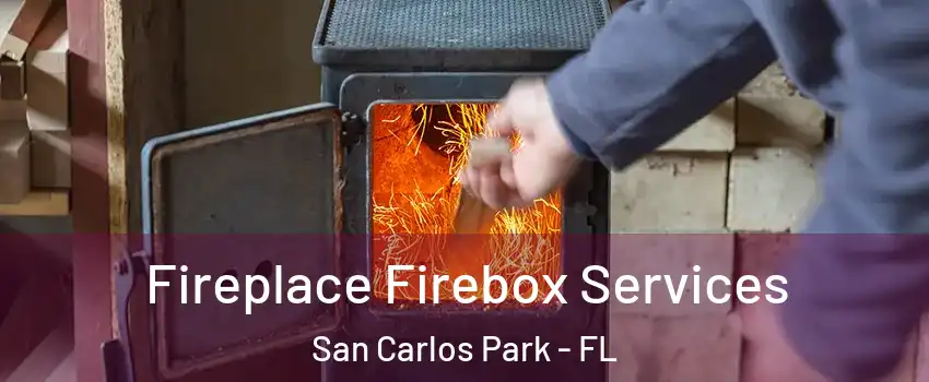  Fireplace Firebox Services San Carlos Park - FL