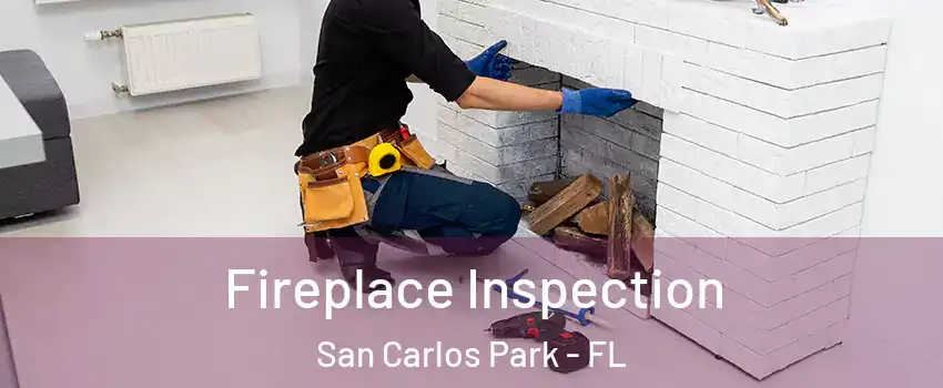  Fireplace Inspection San Carlos Park - FL