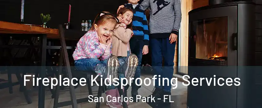  Fireplace Kidsproofing Services San Carlos Park - FL
