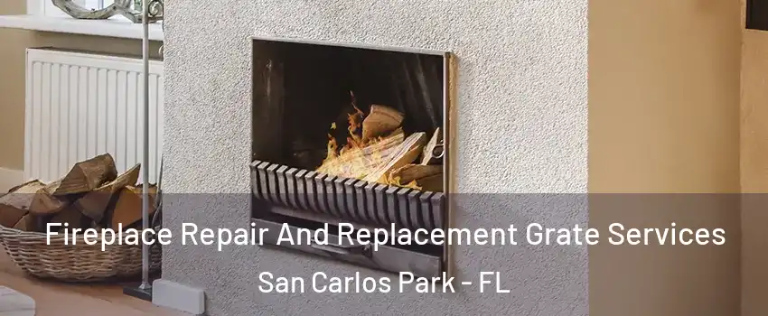  Fireplace Repair And Replacement Grate Services San Carlos Park - FL