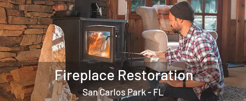  Fireplace Restoration San Carlos Park - FL