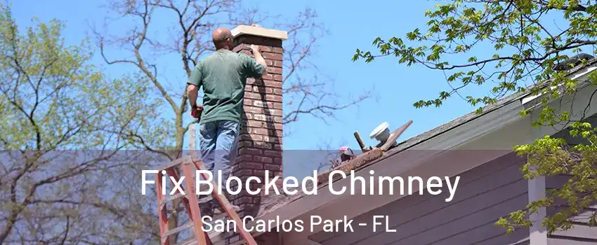  Fix Blocked Chimney San Carlos Park - FL