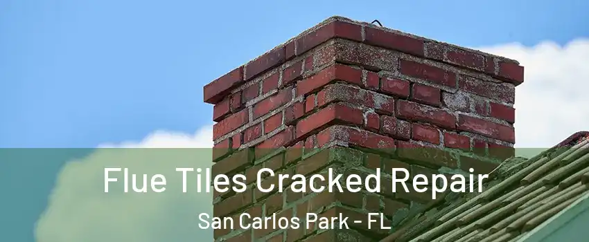  Flue Tiles Cracked Repair San Carlos Park - FL