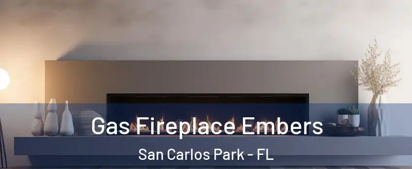  Gas Fireplace Embers San Carlos Park - FL