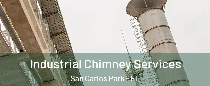  Industrial Chimney Services San Carlos Park - FL