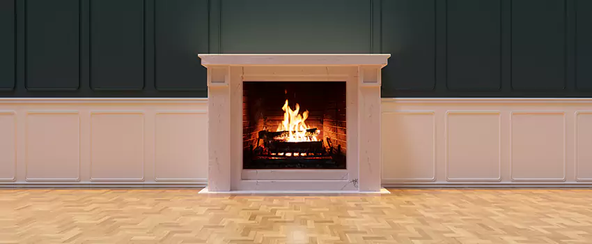 Napoleon Electric Fireplaces Inspection Service in San Carlos Park, Florida