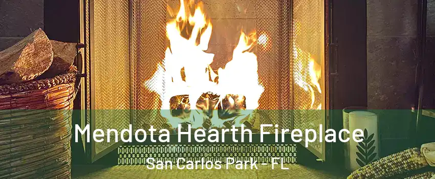 Mendota Hearth Fireplace San Carlos Park - FL