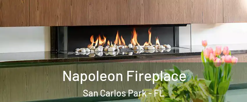  Napoleon Fireplace San Carlos Park - FL