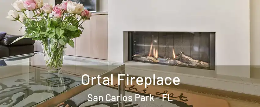  Ortal Fireplace San Carlos Park - FL