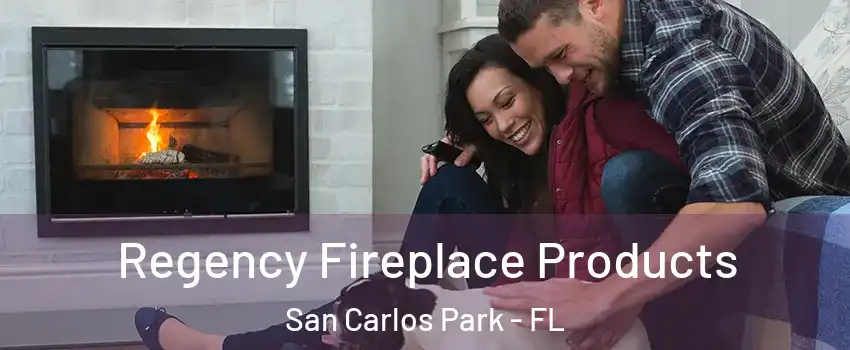  Regency Fireplace Products San Carlos Park - FL