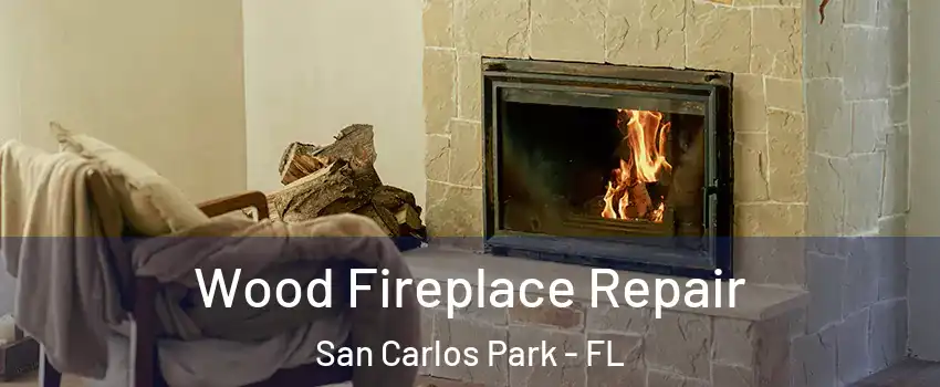  Wood Fireplace Repair San Carlos Park - FL