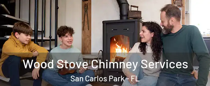  Wood Stove Chimney Services San Carlos Park - FL